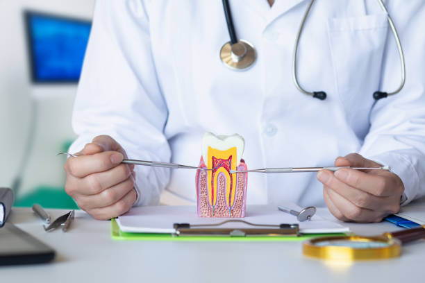 Best Root Canal Emergency Dentist  in Sour Lake, TX